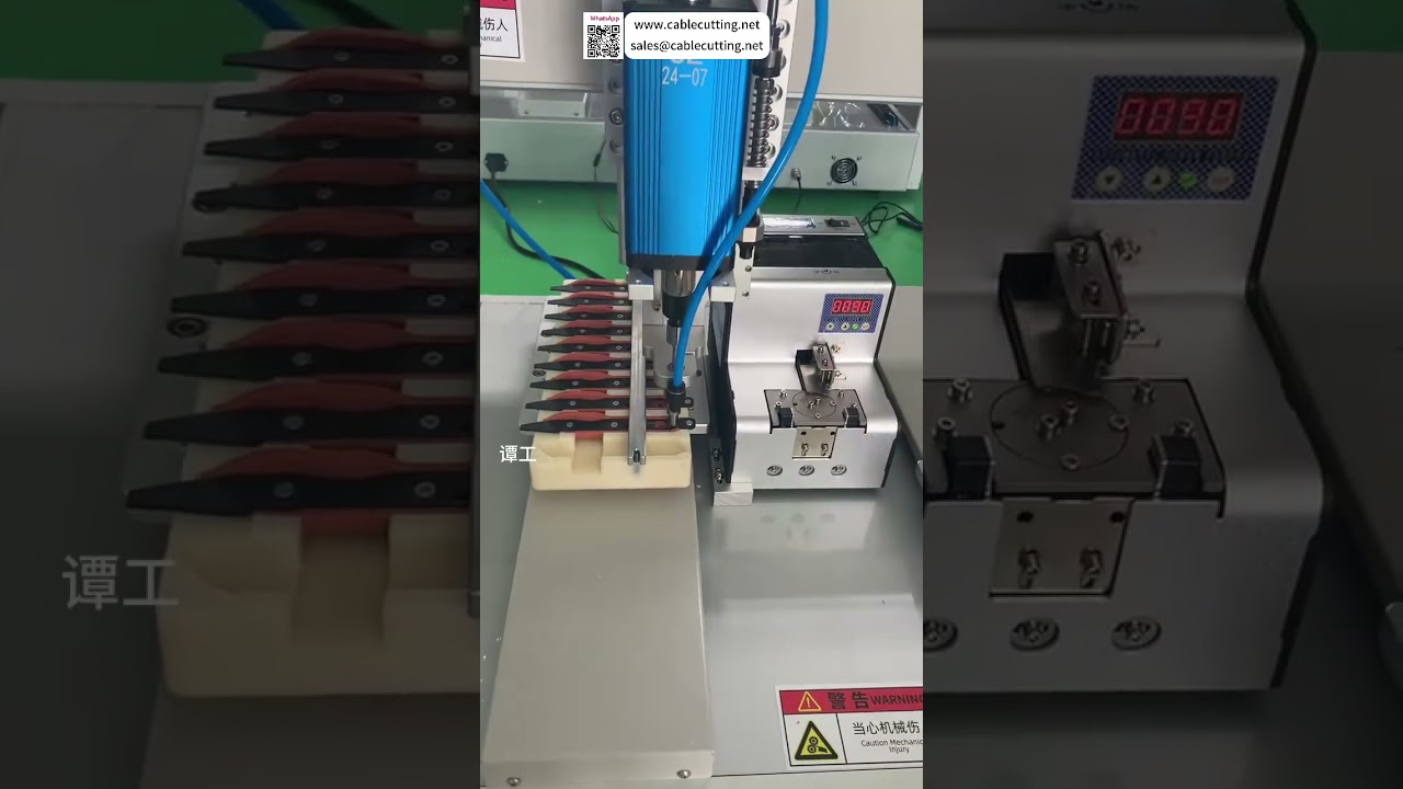Tool Torx Screw Automatic Screwdriving Machine  Factory Automation System  Fast Production